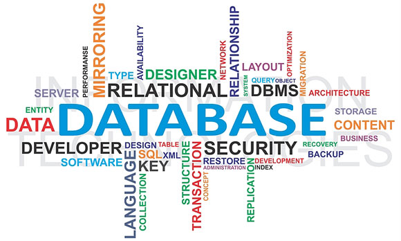 database and related terms